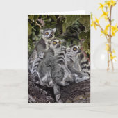 リングや輪テールドリーマーズ カード (黄色い花)