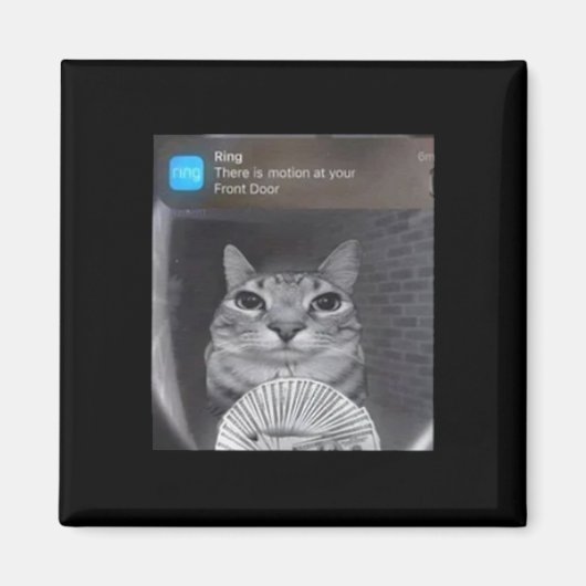 リングや輪ネコ動きミーム マグネット (正面)