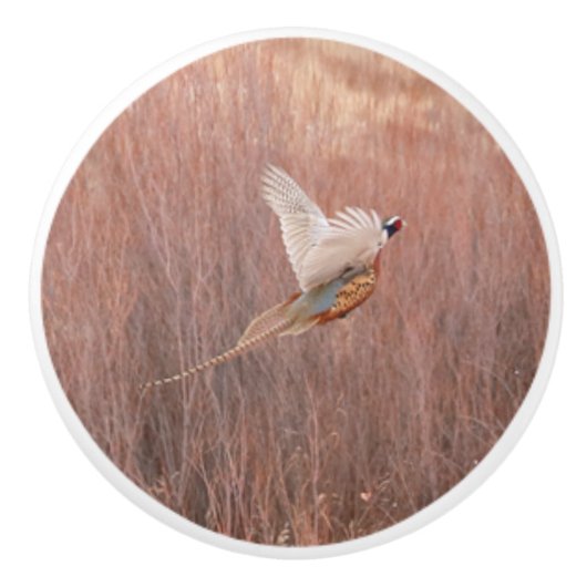 リングや輪ネックのキジカスタムー質セラミックノブ セラミックノブ (正面)