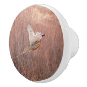 リングや輪ネックのキジカスタムー質セラミックノブ セラミックノブ (右)