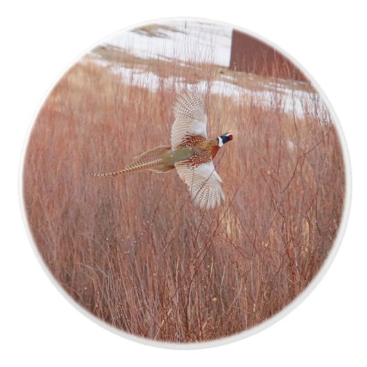 リングや輪ネックのキジカスタムー質セラミックノブ セラミックノブ (正面)