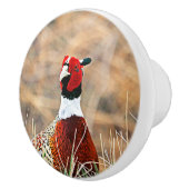 リングや輪ネックのキジカスタムー質セラミックノブ セラミックノブ (右)