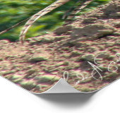 リングや輪ネックキジ ポスター (角)