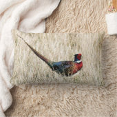 リングや輪ネックキジin牧草地 ランバークッション (ブランケット)