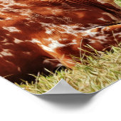 リングや輪ノーズテキサス州ロングホーン牛の写真アート ポスター (角)