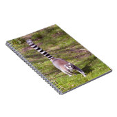 リングや輪尾キツネザル歩くオン草 ノートブック (右側)