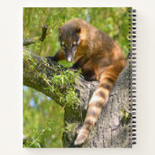 リングや輪尾コアティオンブランチ ノートブック (裏面)