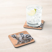 リングや輪尾レムルス群 コースター (右側)