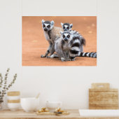 リングや輪尾レムルス群 ポスター (キッチン)