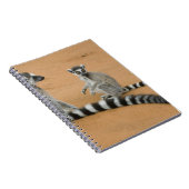 リングや輪尾レムルス（レムールカッタ），ベレンティ ノートブック (右側)