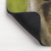 リングや輪尾レムルス（レムールカッタ）マザー&ベビー。 マウスパッド (コーナー)