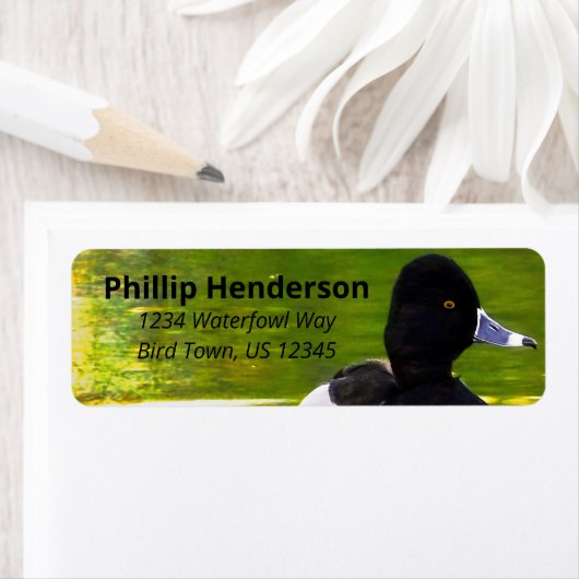 リングや輪首のアヒル黒と白の鳥緑の水 ラベル (インサイチュ)