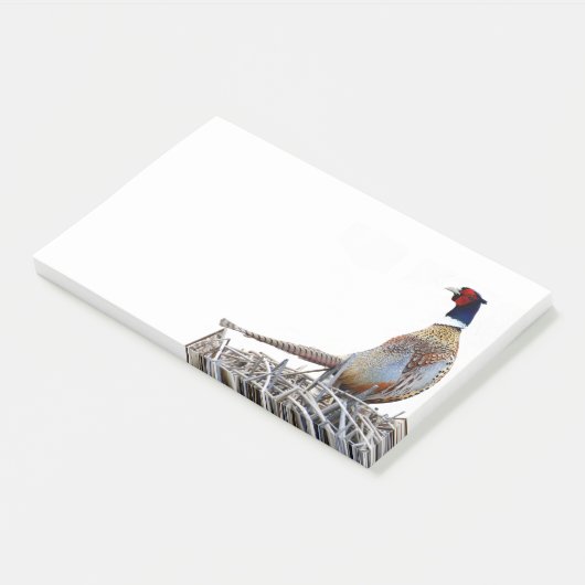 リングや輪首のキジの写真ポストイットのノート ポストイット (アングル)