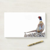 リングや輪首のキジの写真ポストイットのノート ポストイット (デスク)