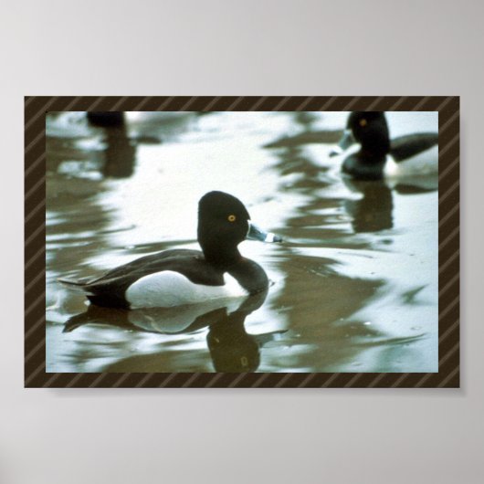 リングや輪首の管 ポスター (正面)