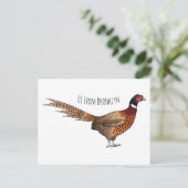 リングや輪首キジの鳥の漫画イラストレーション ポストカード (スタンド正面)