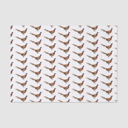 リングや輪首キジの鳥の漫画イラストレーション 薄葉紙 (正面)