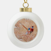 リングや輪首雉 セラミックボールオーナメント (正面)