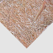 リングや輪首雉 薄葉紙 (詳細)