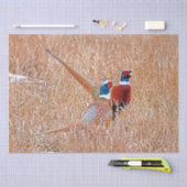 リングや輪首雉 薄葉紙 (クラフト)