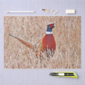 リングや輪首雉 薄葉紙 (クラフト)