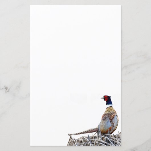 リングや輪首飾りキジ文房具紙 (正面)