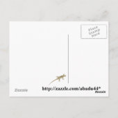 リングテールトカゲ ポストカード (裏面)