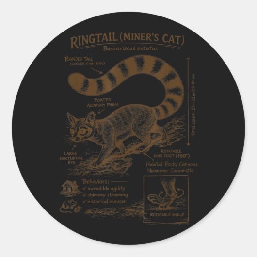 リングテール・マイナーズ・キャット解剖学 野生動物 愛猫家 ラウンドシール (正面)