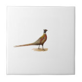 リングネックのキジ タイル (正面)