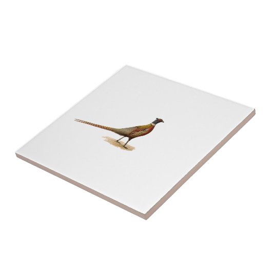 リングネックのキジ タイル (側面)