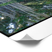 リングリングミュージアムバンヤンツリーズ ポスター (角)