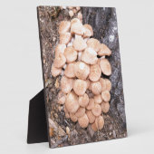 リングレスハチミツ フォトプラーク (側面)