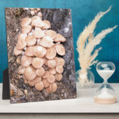 リングレスハチミツ フォトプラーク (側面)