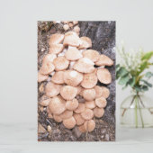 リングレスハチミツ 便箋 (スタンド正面)