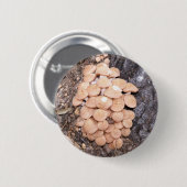 リングレスハチミツ 缶バッジ (正面&裏面)