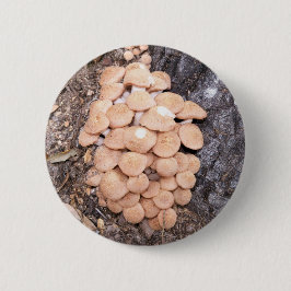 リングレスハチミツ 缶バッジ