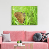 リングレットバタフライキャンバスプリント キャンバスプリント (インサイチュ (リビング))