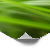 リングレットバタフライポスター ポスター (角)