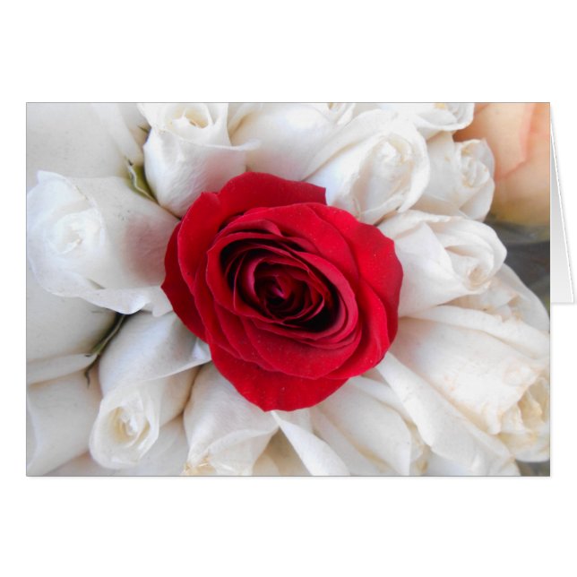 リングレン (正面横)