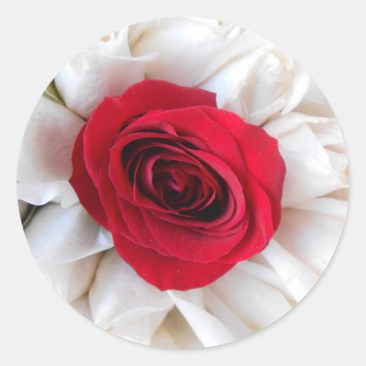 リングレン ラウンドシール (正面)