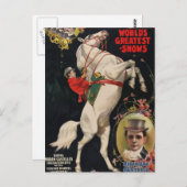 リング兄弟の馬 ポストカード (正面/裏面)