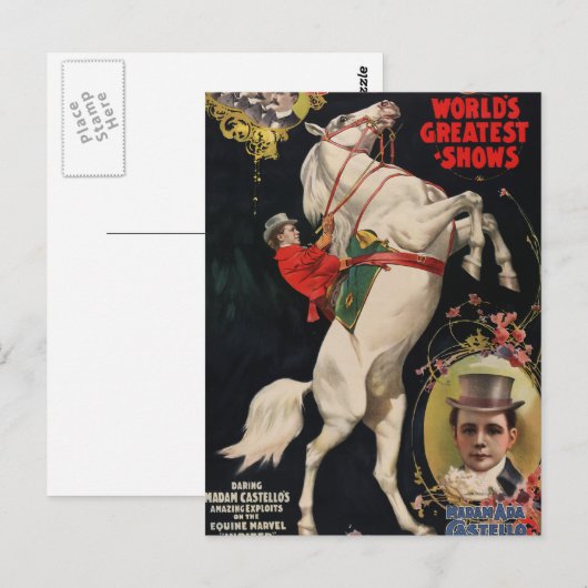 リング兄弟の馬 ポストカード (正面/裏面)