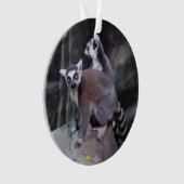 リング後につかれたlemur オーナメント (正面)