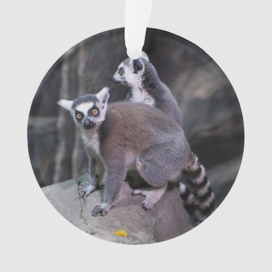 リング後につかれたlemur オーナメント (正面)