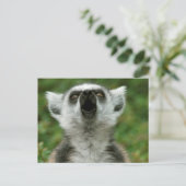 リング後につかれたLemur ポストカード (スタンド正面)