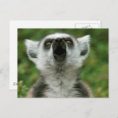 リング後につかれたLemur ポストカード (正面/裏面)