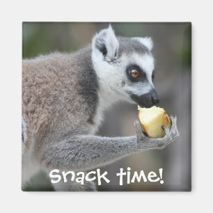 リング後につかれたLemur -- 軽食の時間! マグネット