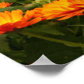 リンゲルブルーム ポスター (角)