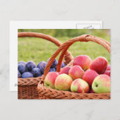 リンゴと梅のはがき ポストカード (正面/裏面)