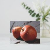 リンゴのはがき ポストカード (スタンド正面)
